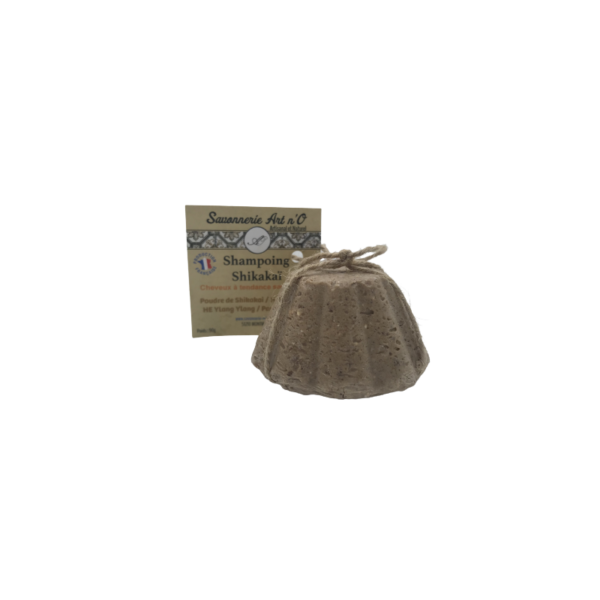 SHAMPOING SHIKAKAI